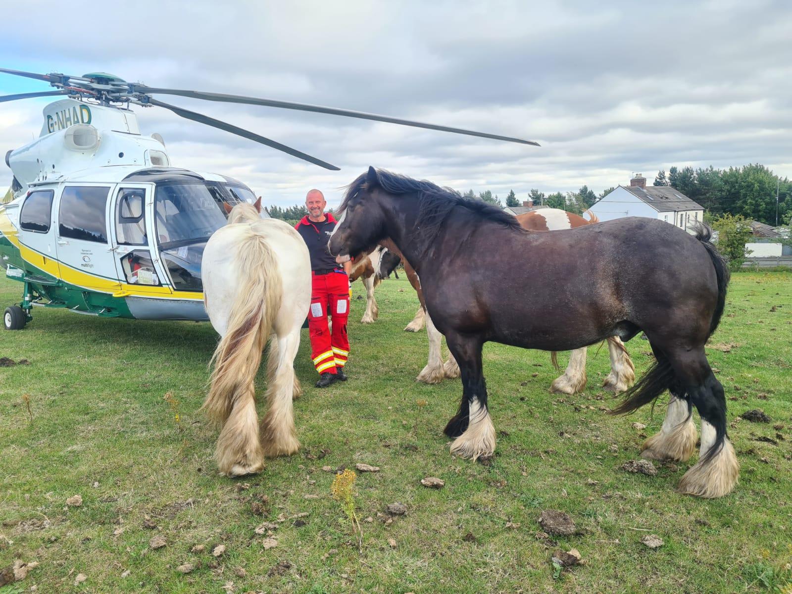 MicrosoftTeams-image (17)